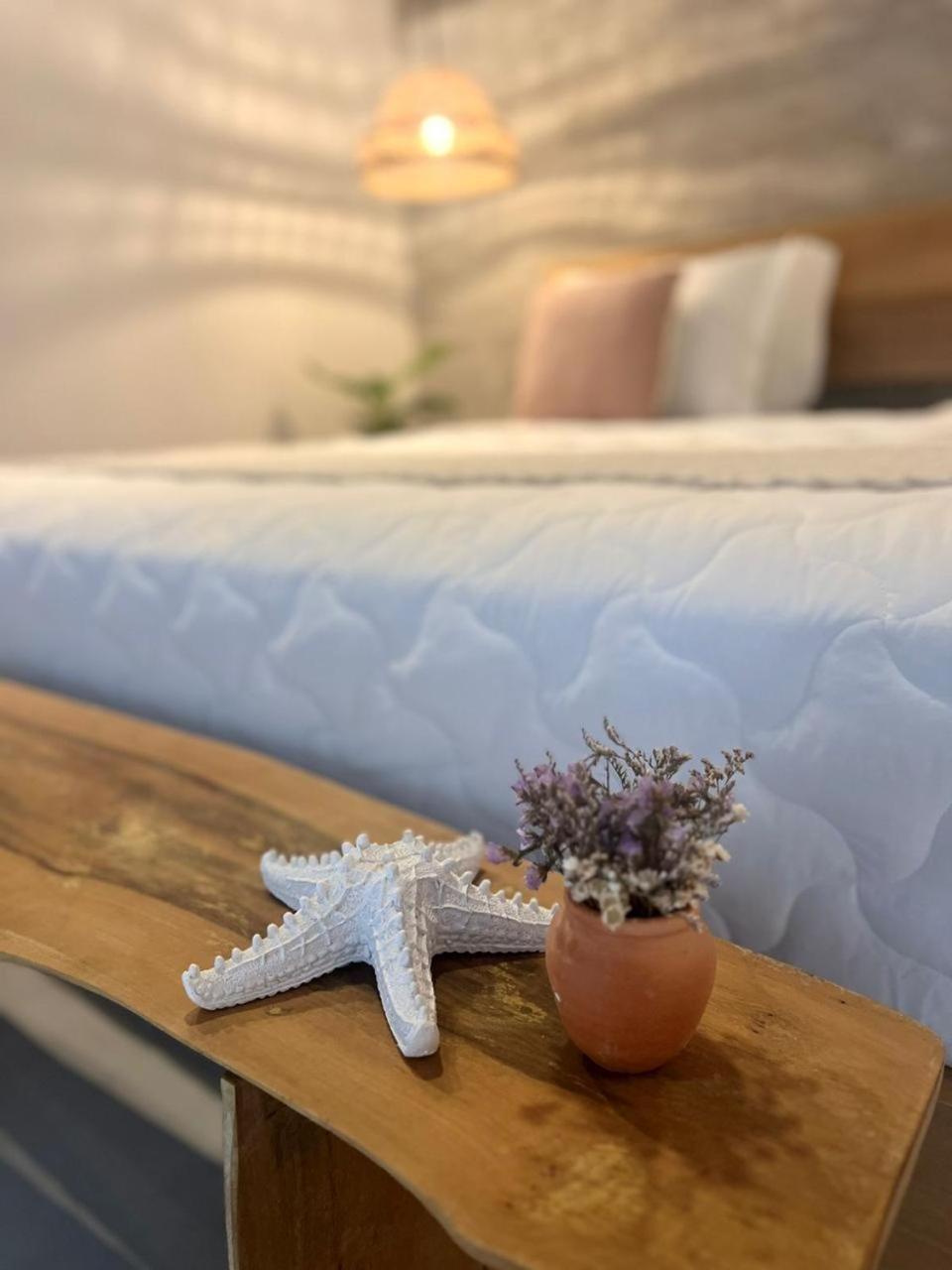 Yba Casa Hotel Ilha Do Mel Παραναγκουά Εξωτερικό φωτογραφία